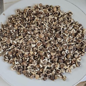 เมล็ดมะรุมคุณภาพพรีเมียม OEM แท้ 100% จากธรรมชาติ เมล็ดต้นมะรุม (Moringa oleifera) ขายส่งจากอินเดีย - Product Image 4
