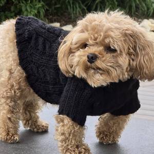 เสื้อกันหนาวสุนัขแบบหรูหราทำด้วยมือเสื้อแจ็กเก็ตเทศกาลสมัยใหม่สำหรับสุนัขขนาดใหญ่ขนาดใหญ่คุณลักษณะสะท้อนแสงสำหรับเทศกาลคริสต์มาสฤดูหนาว - Product Image 1