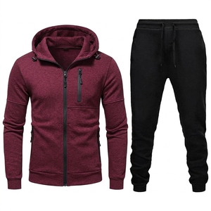 Conjunto Deportivo con Capucha para Hombre, Color Sólido, Manga Larga, Cierre de Cremallera, Ropa Casual de Otoño, Material de Poliéster y Algodón, Corte Regular - Product Image 3