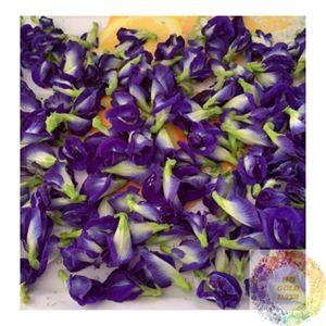 Fabricante de Flores de Guisante Mariposa Secas Premium de Vietnam para Té, Bebidas, Procesamiento de Alimentos y Suministro para Exportación - Product Image 3