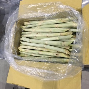 เงาะเวียดนามผลไม้แช่แข็งเงาะผลไม้รสหวานเงาะ - Product Image 3