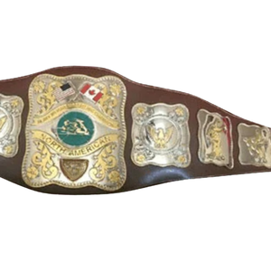 Cinturón de Campeonato de Lucha Libre Norteamericana, Trofeo Personalizado de Alta Calidad para Coleccionistas - Product Image 4
