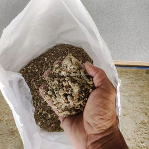 Cabeza de Anchoa Seca de Alta Calidad para Acuicultura y Alimentación Animal - Materia Prima de Desechos de Pescado - Product Image 6