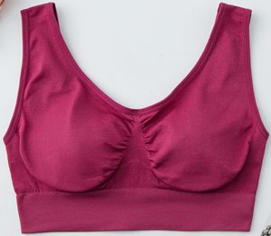 Soutien-gorge de sport uni à prix raisonnable, soutien-gorge de sport pour femme le plus vendu, nouveau style de soutien-gorge de sport pour femme - Product Image 4