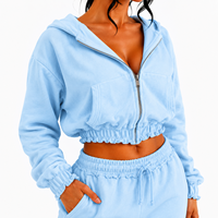 Ensemble sweat-shirt court à capuche gris pour femme grande taille, en molleton avec fermeture éclair, brodé, style streetwear décontracté, couleur unie, automne