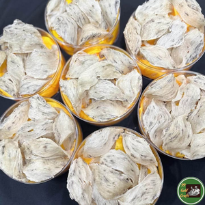 Nido de pájaro comestible de primera calidad de Vietnam para postres y preparación de sopas - Product Image 2