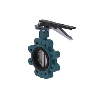 Vanne papillon 4M à siège métallique, conception tri-excentrique pour le contrôle du vapeur haute pression - Product Image 2