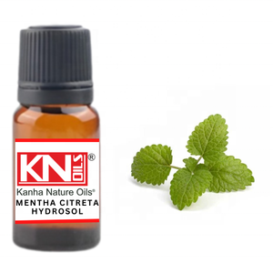 Vente en gros d'huiles naturelles Kanha MENTHA CITRETA HYDROSOL 100% pur pamplemousse citron vert jasmin bois de santal clou de girofle le plus grand réputé d'Inde - Product Image 1