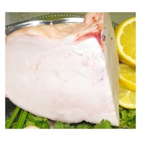 Graisse de queue d'agneau halal congelée en vrac pour les distributeurs de viande en gros et les marchés alimentaires mondiaux