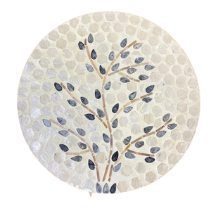 Exquisite Shell <b>Placemat</b> Boho Mother of Pearl Charger for Beach Wedding Decor & Dining Room Storage - Product Image 1