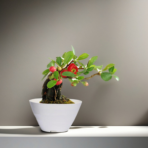 Macetas de plástico para decoración de jardín de forma redonda de onda baja para uso decorativo al aire libre - Product Image 5