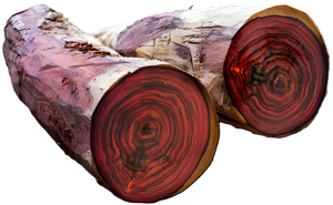 Aceite Esencial de Palosanto con Aroma Floral Dulce, 1 KG, 100% Puro y Natural, Destilado al Vapor - Grado Aromaterapia - Por Katyani Exports - Product Image 2