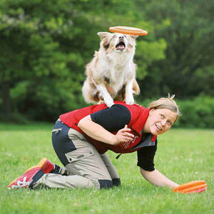 Bite-Resistant 19 cm Activity <b>Disc</b> for Dogs <b>Flying</b> <b>Disc</b> Product - Product Image 4