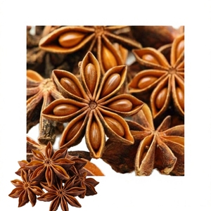 Precio Competitivo, Estándar Internacional, Fábrica en Vietnam, Anís Estrellado para Hotpot, 10 kg - Product Image 1
