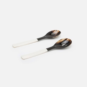 Hot Sale Custom Resin Spoon Set for Corporate Gifts and Branding or Serving and Tableware Use Available at Best Price - Product Image 1
