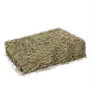 Foin de Timothy certifié, ensaché |   Prix compétitif |   Sans pesticides |   Pour la production d'aliments pour chevaux, animaux et animaux de compagnie |   Exportateur - Product Image 6