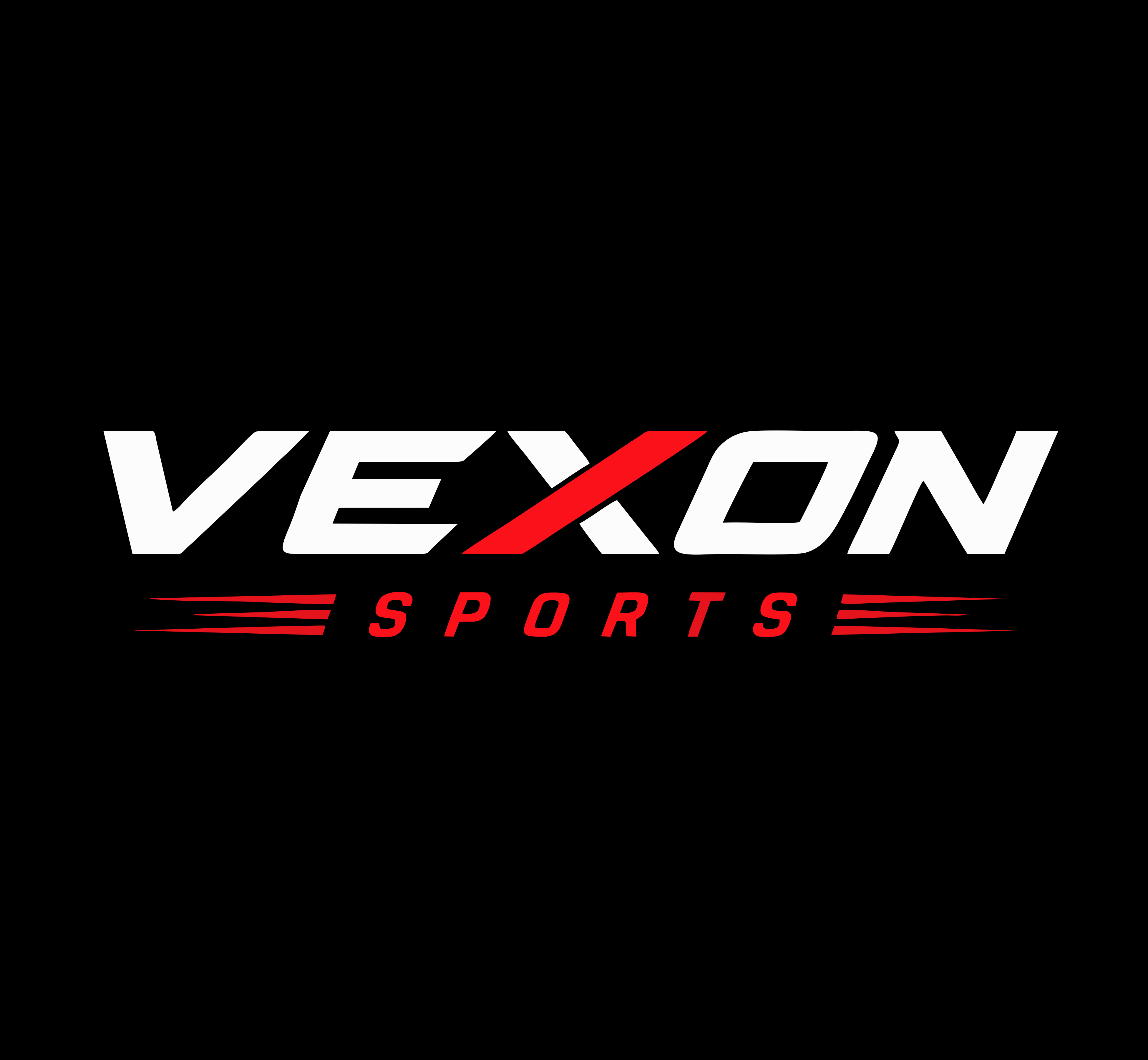 VS SPORTS INDIA logo