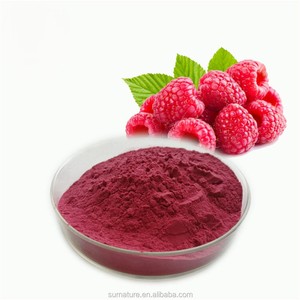 Poudre de framboise lyophilisée 100% naturelle de qualité alimentaire pour les smoothies et les produits aromatisés aux fruits naturels - Product Image 2
