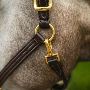 Harnais anatomique en cuir italien de haute qualité avec boucles en acier inoxydable surélevées, design élégant, pour l'équitation, prix de gros - Product Image 2
