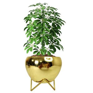 Maceta Metálica Elegante a Precio Económico para Plantas de Interior, Decoración de Jardín y Hogar, Maceta Metálica Premium - Product Image 6