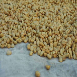 Grains de café vert indien de qualité supérieure Arabica pour les installations de torréfaction commerciales et les entreprises de café spécialisé - Product Image 1