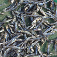 Ikan Teri Asin Kering Harga Grosir (+84)765149122