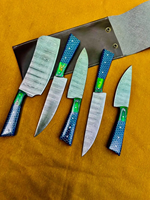 Ensemble de couteaux en acier Damas 5 pièces 6-7,9 pouces, lames polies à bord droit, manche en résine, couteaux de cuisine pour chef, ambidextres, tranchants