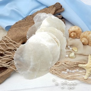 Accessoires de bricolage à bas prix, coquilles de capiz rondes, coquillages naturels de la plus haute qualité, coquillages marins. - Product Image 2