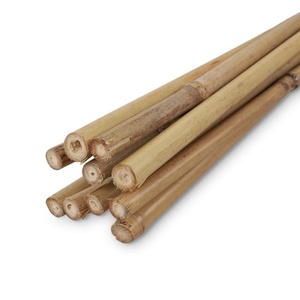 Vietnamese producer bamboo <b>cane</b> stick high quality wholesale natural pole for landscaping & crafts - Product Image 5