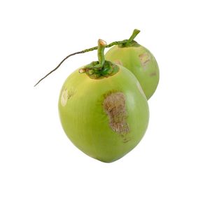 Coco Fresco Joven de Vietnam, Calidad de Exportación, Suministro a Granel - Product Image 1