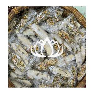 ENTREGA INMEDIATA Galleta Crujiente de Nueces 2026, Snack de Granos y Nueces para el Desayuno y Energía, Calidad Premium - Product Image 1