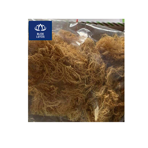 Venta Rápida: Musgo Marino Seco Ecológico y Limpio, Alga Marina Pura, Ideal para el Cuidado de la Piel y Preparación de Postres, Venta Directa - Product Image 1