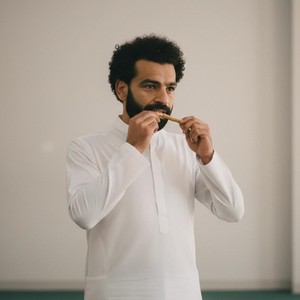 Sewak / Siwak / Miswak de la Mejor Calidad de Pakistán a Precios Especiales al por Mayor, Miswaks Peelu al por Mayor - Product Image 1