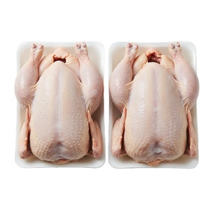 Prix promotionnel Poulet congelé pour acheteurs internationaux livré en vrac pour l'épanouissement du secteur alimentaire et la vente au détail - Product Image 1