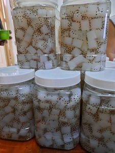 ขายดี! นาตาเดอโกโก้คุณภาพสูงในน้ำเชื่อม - เจลลี่มะพร้าวกรุบกรอบขนาด 3 มม./5 มม./8 มม. สำหรับชานมไข่มุกและท็อปปิ้งขนมหวาน - Product Image 5