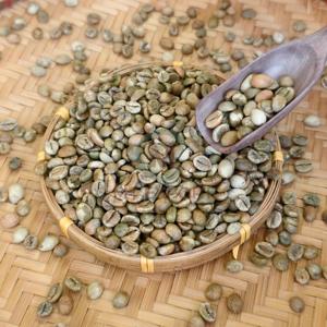 Café Vert Robusta Frais de Ferme du Vietnam en Gros – Grains de Café Non Torréfiés pour l'Exportation - Product Image 5