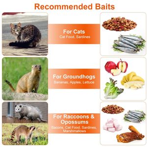 Trappola Pieghevole 37x14x15 pollici per Animali Vivi, Gabbia Umana per Catturare e Rilasciare Gatti, Procioni, Coyote, Cani Randagi, in Ferro Zincato - Product Image 4