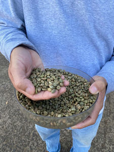 Prix compétitif, grains de café vert ARABICA et ROBUSTA de haute qualité, propres, pour torréfaction, processus de lavage complet, emballés en 60 kg/PP - Product Image 5