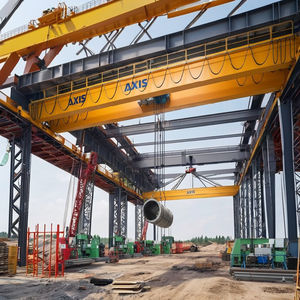 Grúa EOT de Doble Viga de 15 Toneladas Fabricada en India - Product Image 4