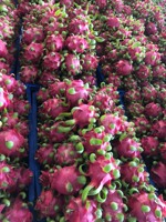 2025 Vietnam Gekweekte Biologische Witte Drakenvrucht Hoge Kwaliteit Vers Fruit Hot Sale Boerderijprijs Goed voor de Gezondheid Groothandel
