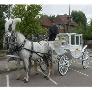 Chariot de mariage blanc couvert, chariot royal tiré par des chevaux, fabricant de chariots de mariage indiens, chariot à chevaux à vendre aux États-Unis - Product Image 1