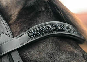 Brida de Cuero Premium Acolchada y Moldeada para Caballo, con Hebilla de Alta Calidad, Personalizable, en Varios Colores, para Equitación - Product Image 2