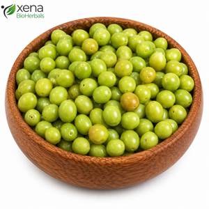 Emblica Officinalis, Fruta Seca, Materia Prima Botánica Natural, Venta al Por Mayor Directa de Fábrica - Product Image 2