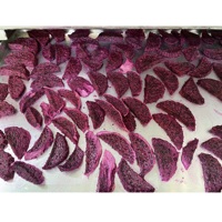 Gedroogde drakenvrucht in bulk, vacuüm verpakt, private label, Vietnam, bulk 1kg, gesneden, FD, 100% natuurlijke gesneden drakenvrucht