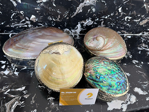 <b>Abalone</b> <b>Shell</b> Jewelry Organizer Luxury Mother Of Pearl Jewelry Organizer for Ring Necklace Storage Elegant Metal Craft Vietnam - Product Image 2