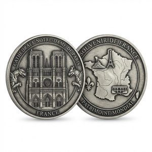 Pièces de monnaie souvenirs personnalisées en zinc, émaillées, plaquées or, imitation moderne/ancienne, avec logo, pour musées, attractions, publicité - Product Image 6