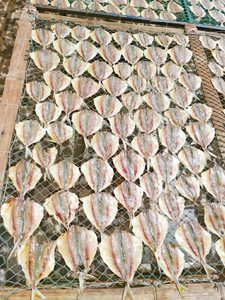 Poisson rayé jaune séché, ingrédient de fruits de mer salés de qualité supérieure, poisson séché en gros pour grillades et fritures, poisson rayé jaune du Vietnam - Product Image 4