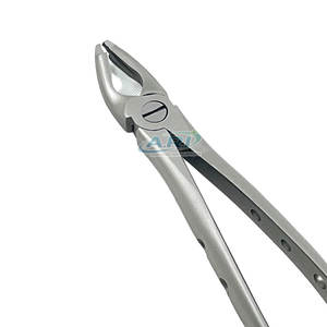 คีมถอนฟันสแตนเลสคุณภาพสูงสำหรับการผ่าตัดช่องปาก เครื่องมือถอนฟันระดับมืออาชีพ - Product Image 5