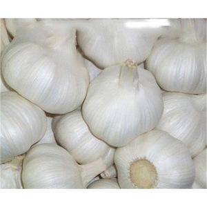 Ajo Fresco de Primera Calidad, Bulbos de Ajo Cosechados en Granja, Suministro a Granel para Importadores Internacionales de Vegetales y Compradores Mayoristas - Product Image 5