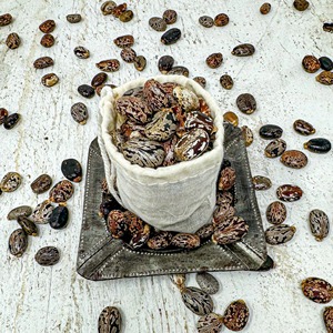 Graines de ricin de qualité supérieure, naturelles et matures, pour l'exportation en vrac, emballées en sacs tissés pour l'extraction d'huile industrielle - Product Image 6